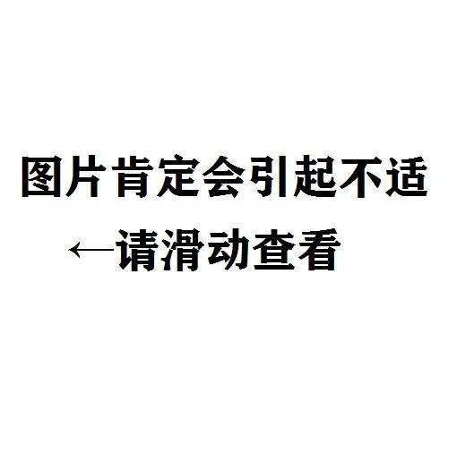 这只松鼠被吃空了蛋蛋?