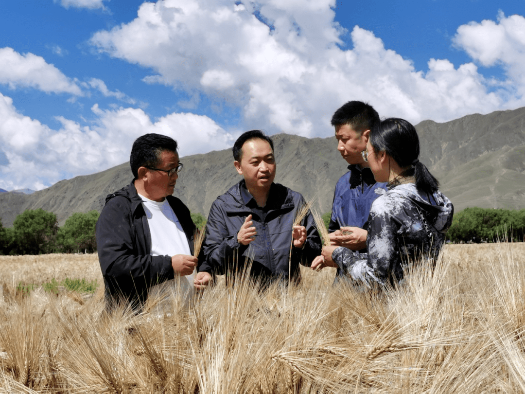 一封自愿递交延期援藏申请书背后的湖南援藏队,他们这样说