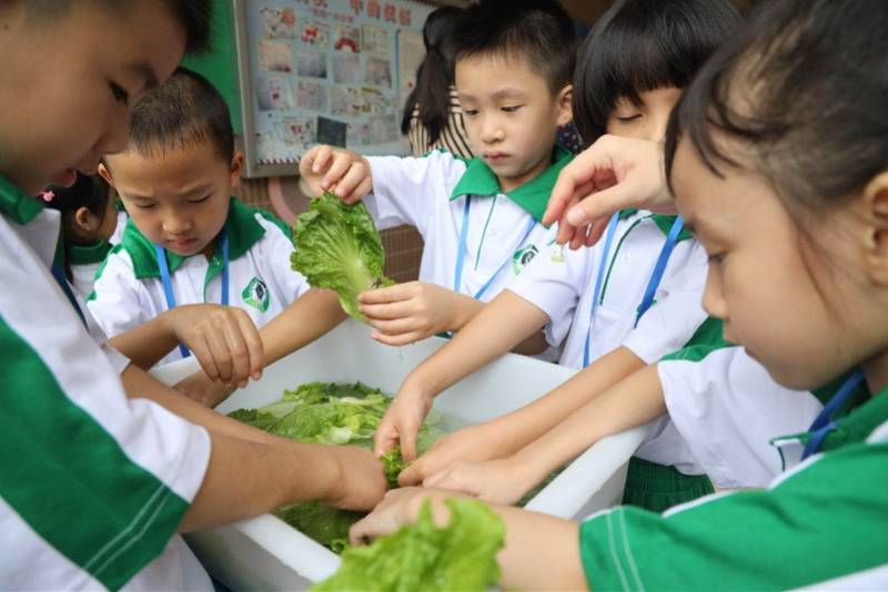 新生|读《锄禾》，学择菜，练射门，坑口小学新生这样上第一课