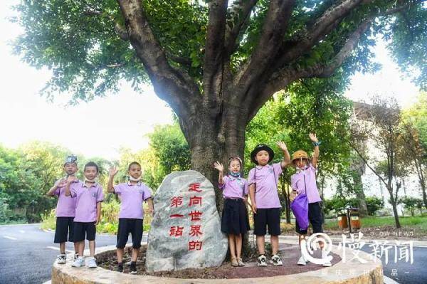 年级|慢新闻 | 入学第一课，完成这张“寻宝图”，你就是一年级合格新生啦