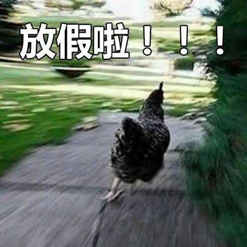 全体|全体注意！今年我们还有这么多天假可以休