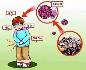 病毒|开学季 谨防诺如病毒感染