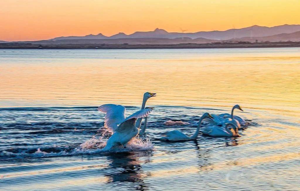 悠悠|那些深夜发的朋友圈，为什么又删掉了？