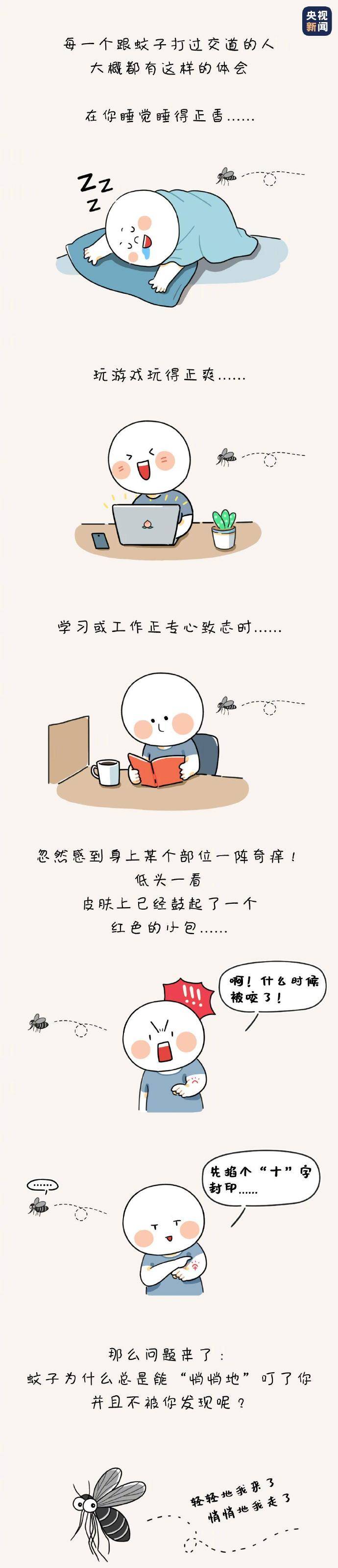 总能|蚊子为什么总能“得手”？真相来了