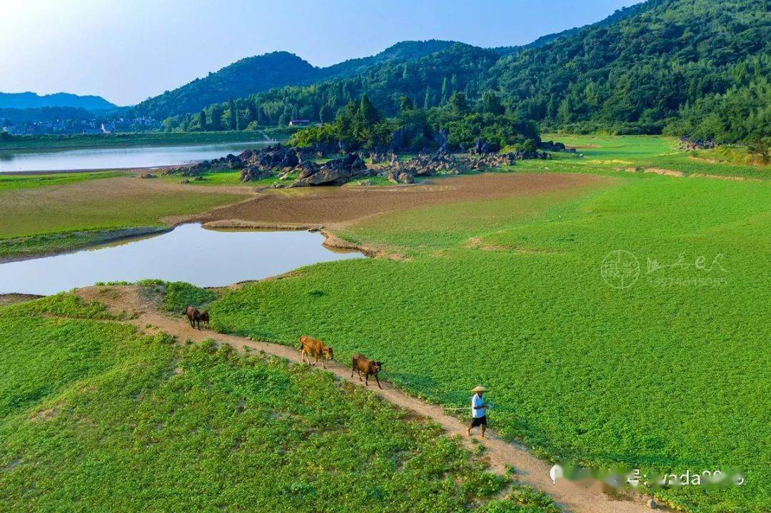 东安这个普通小水库,也有别样的风景