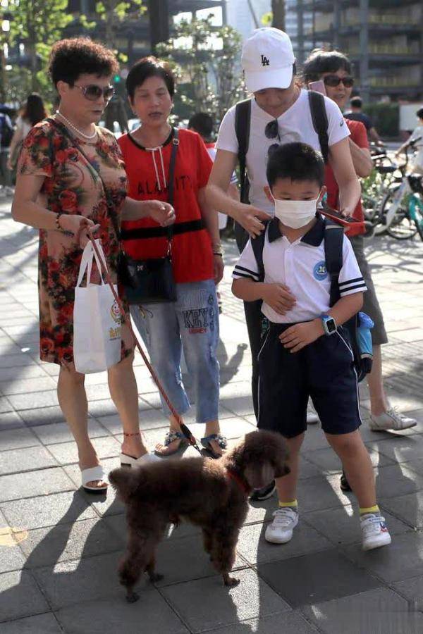 镜头|开学第一天的镜头里，满是牵手与叮嘱