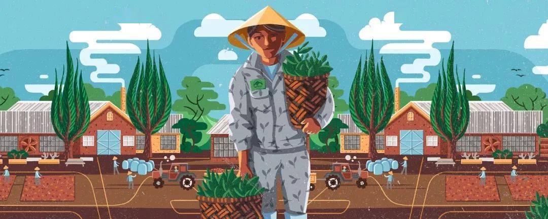 买单|你会为了好看的包装设计而买单吗?