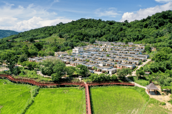 "百城千县万村"调研行 白沙白准村期待"旅游饭"香飘全岛