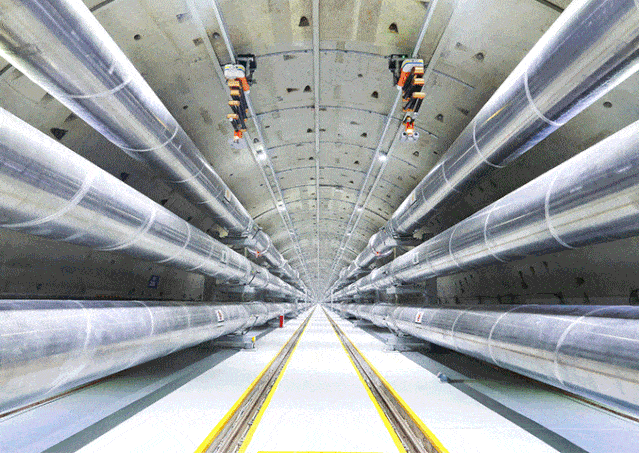 这件事外国专家说中国人10年也干不来结果亮了