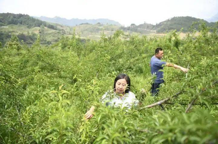 安龙县有多少人口_贵州安龙县县城照片(3)