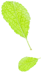 孩子|拿什么拯救孩子的阅读？