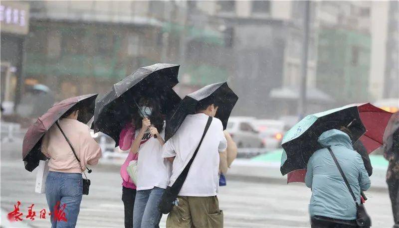 在风雨中凌乱
