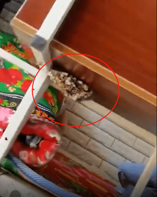 女生宿舍|当高校男生搬进了女生宿舍……