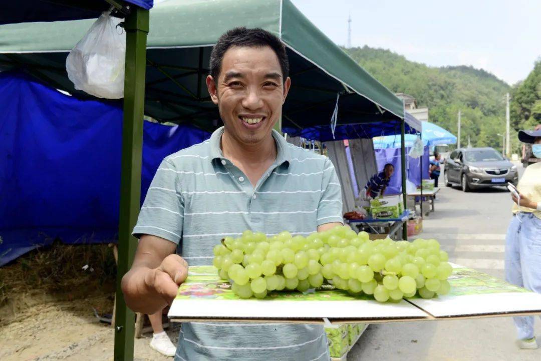 葡萄老总_葡萄卡通图片