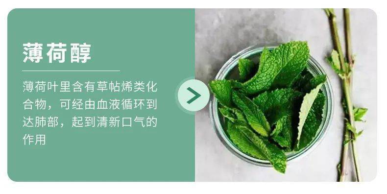 好闻|可以嚼的“漱口水”！好看好嚼好闻，口吐清新…