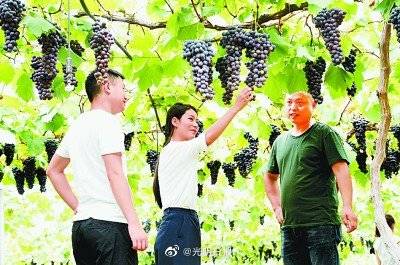 毕业生|如何让高校毕业生安心扎根基层？