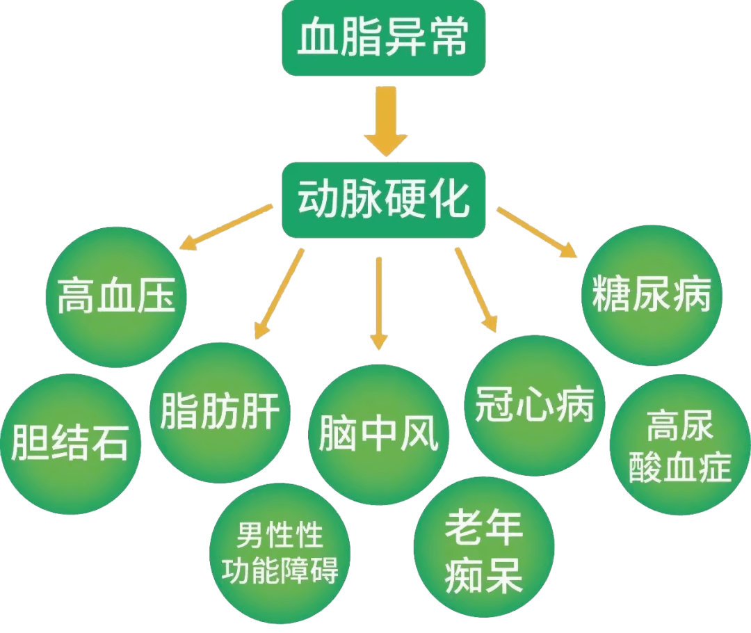 疾控之声油摄入过多的危害你知道吗