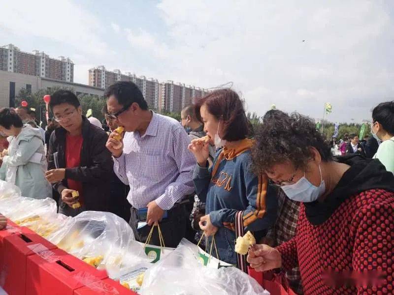 市民|[花絮]第四届中国·绥化鲜食玉米节市民现场品鉴最好吃鲜食玉米