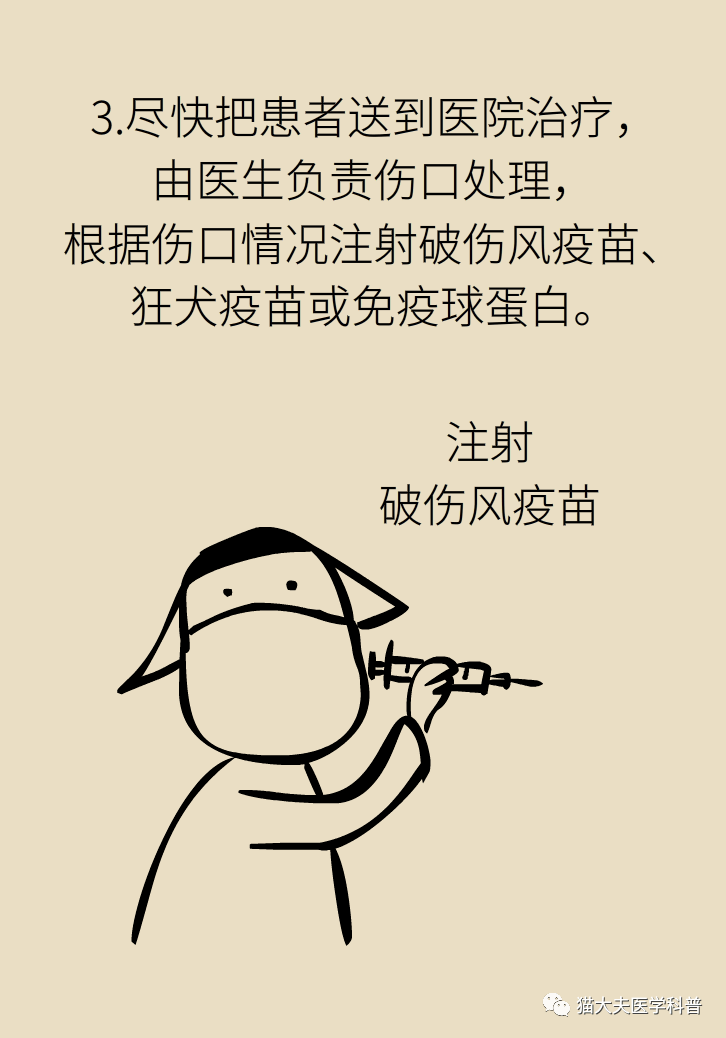 56c42582c18842fe815a6059177a66f2.png