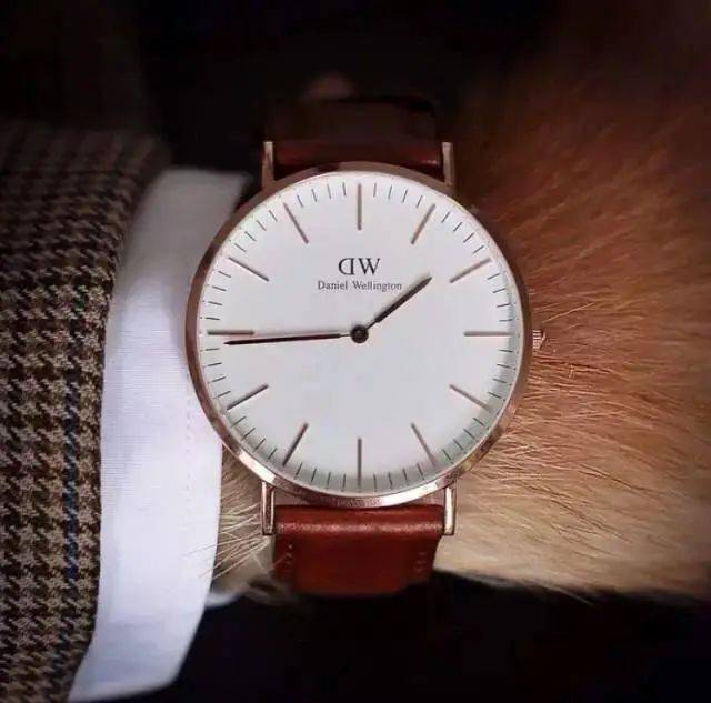 时尚|家住纽约、年仅四岁、年入百万？！？柴犬Bodhi实乃狗中富贵花