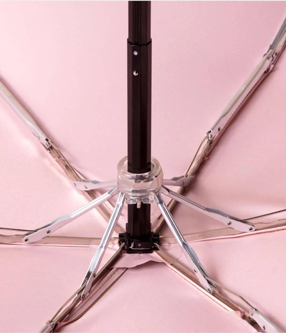 路人|撑这么漂亮的伞出门,经常被路人追着要链接!