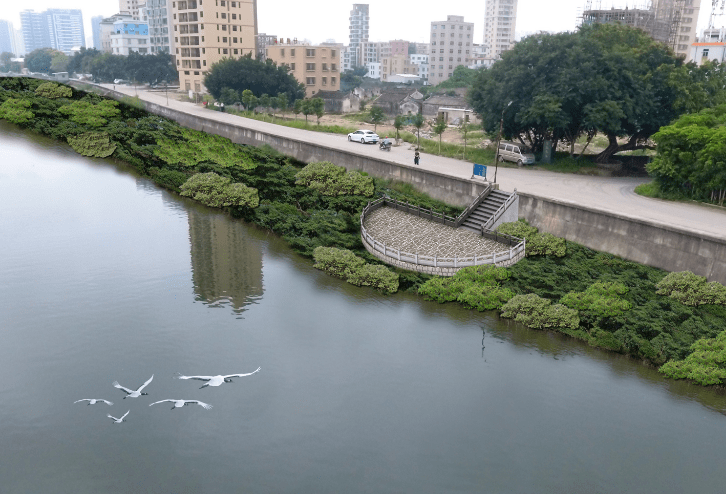 总投74亿汕头新增湿地公园绿地石林湖公园方案曝光