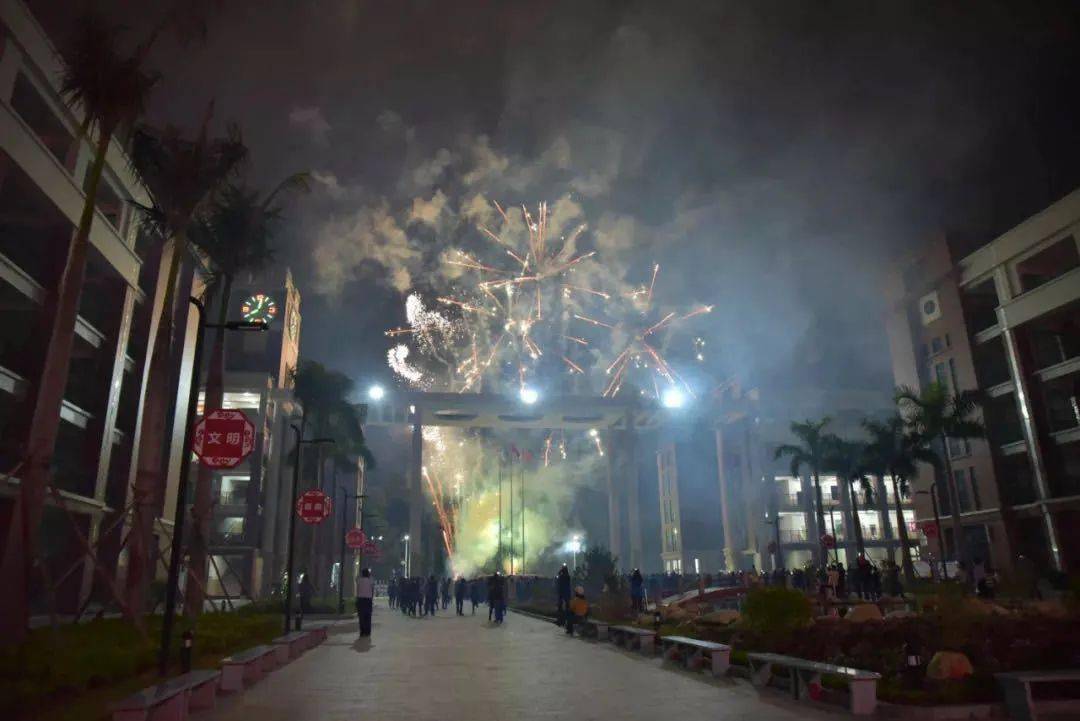 见过这里盛放的烟花还有最明亮的你们我想 我会偶然路过学校踏过这走遍无