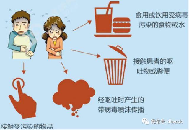 诺如|南宁一幼儿园多名幼儿低烧呕吐！原因是……家长注意了