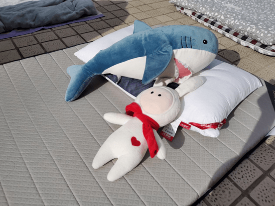 740d0ffba76949ab99e2c8baedb5a29e.png