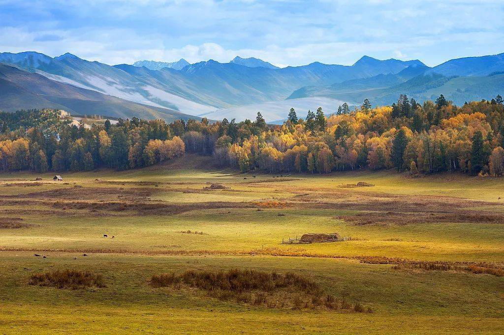 时节|露从今夜白