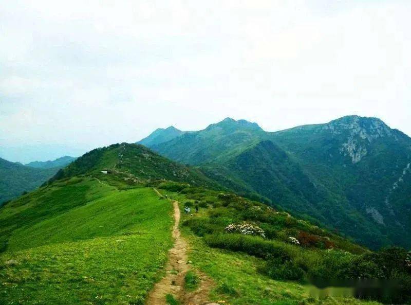 免门票秦楚古道终南之巅9月1213日高山草甸秦岭分水岭