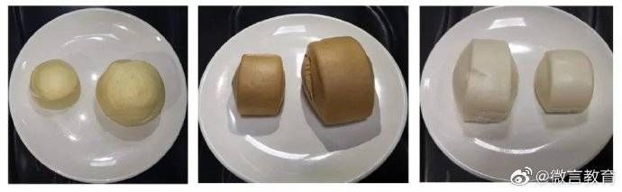 小份|福建多所高校推出小份菜