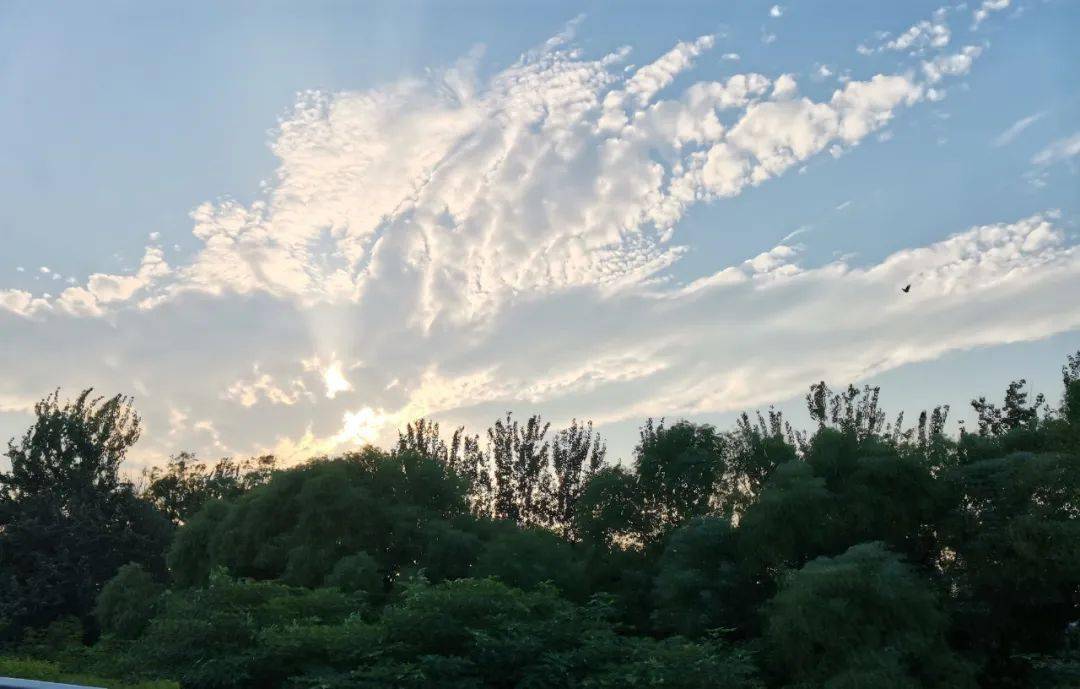 白露:雁行浩荡志凌云