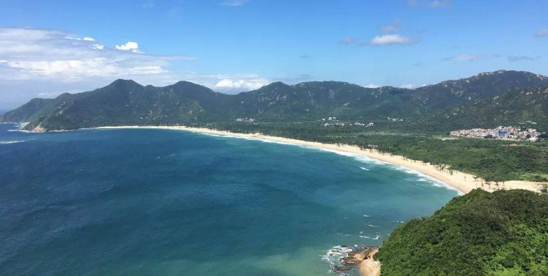 西涌2040—让海龟回家 开启深圳海洋生态文明的奇迹之路