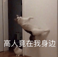 新剧|看完刘诗诗的新剧,终于知道为什么帅哥都喜欢她了!