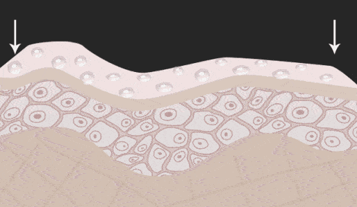 滋养液|32年才做成的育发液!让你挑战30天+生出小绒毛