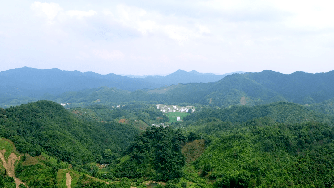 好风景带来好光景