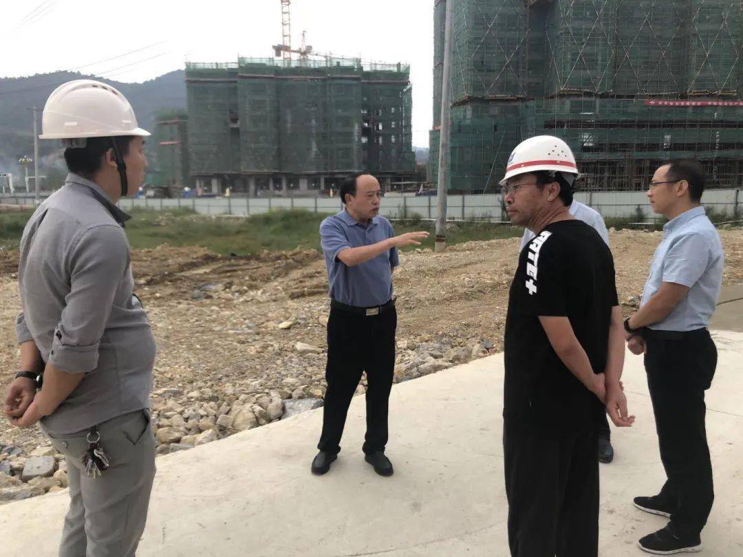 郑东来 加力度 提速度 抓进度 全力推进重点项目建设_咸丰