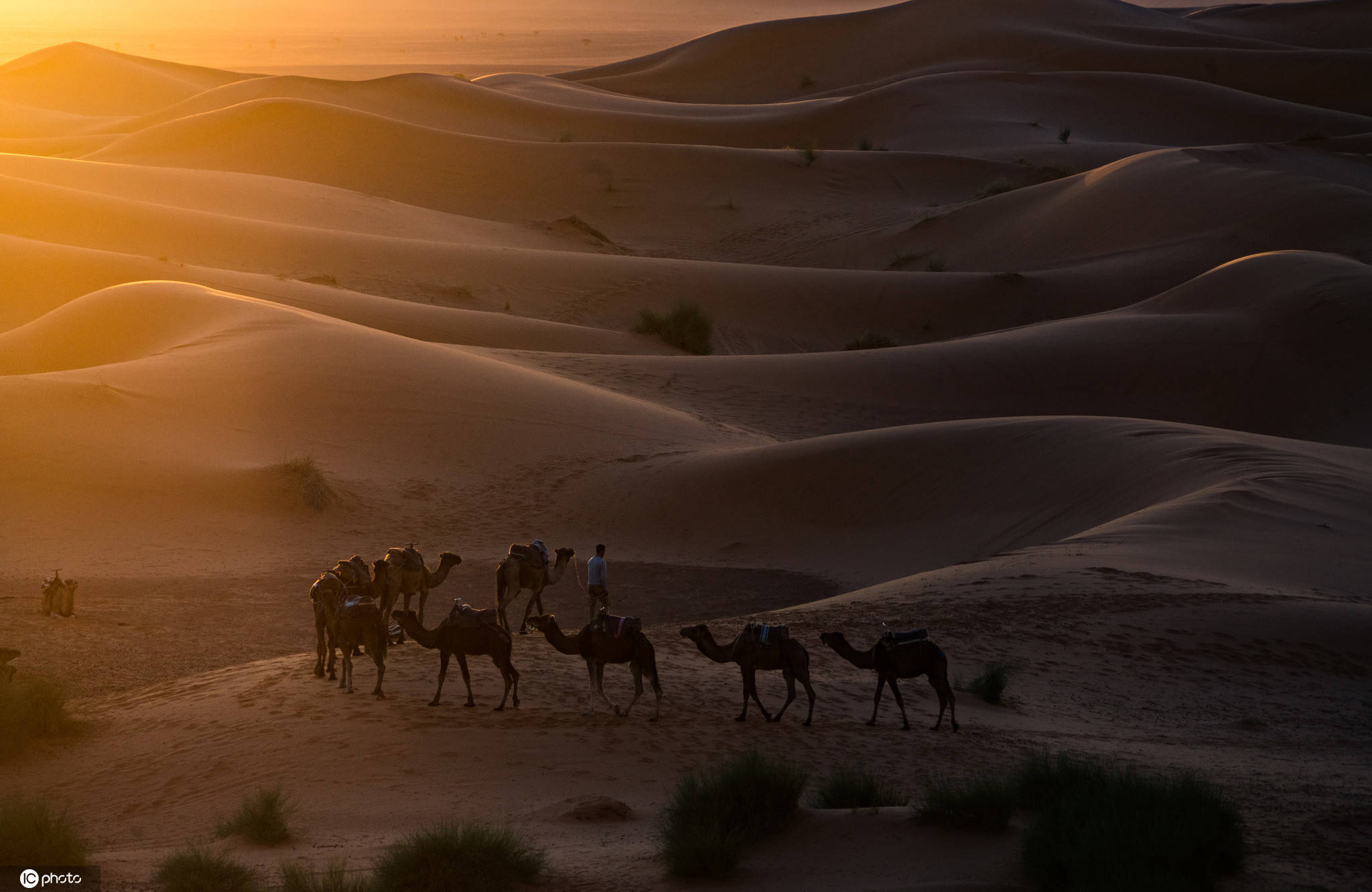 摩洛哥游记 重走三毛笔下的撒哈拉沙漠