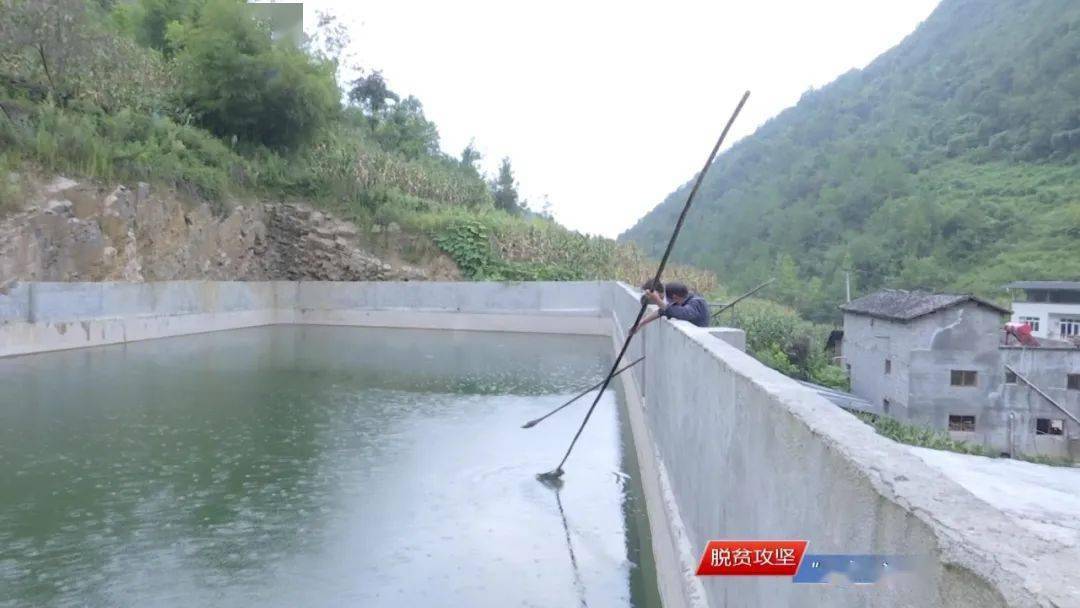 广西灵山县乐民镇有多少人口_广西灵山县檀圩镇图片(3)