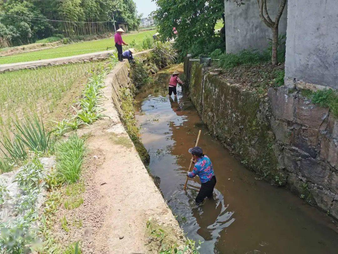 全域旅游丨屯光镇四步走着力打造河畅水清新画卷