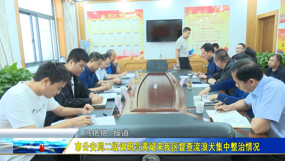 市公安局二级调研员黄斌来我区督查流浪犬集中整治情况