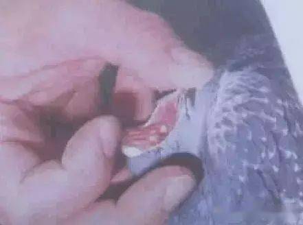 3fe9470499c848979176a923133ee475.jpeg