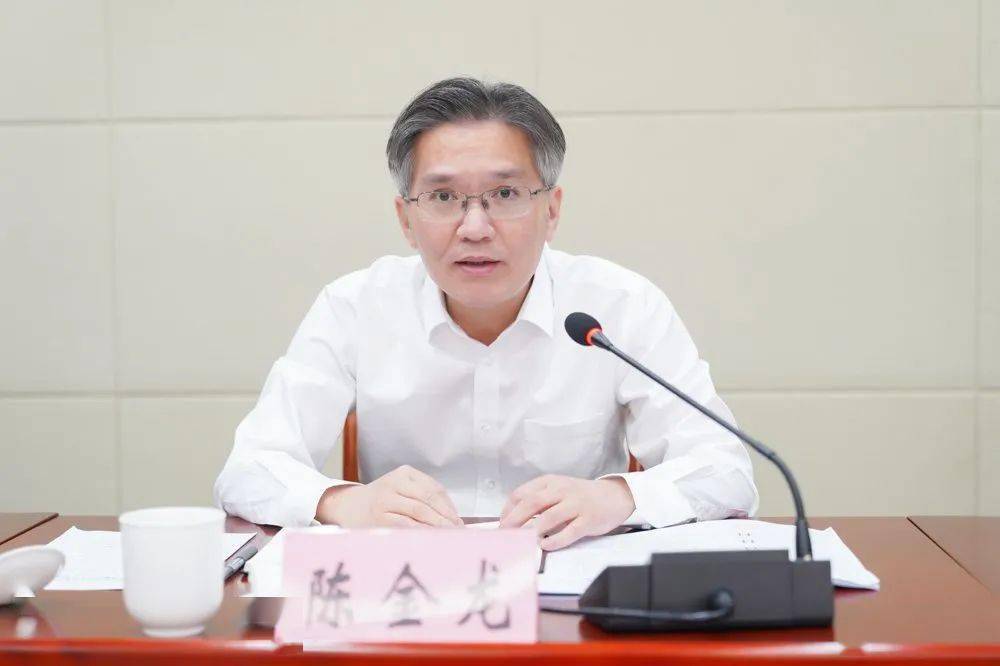 镇党委副书记,镇长陈金龙,镇相关班子领导,消委会成员单位相关负责人