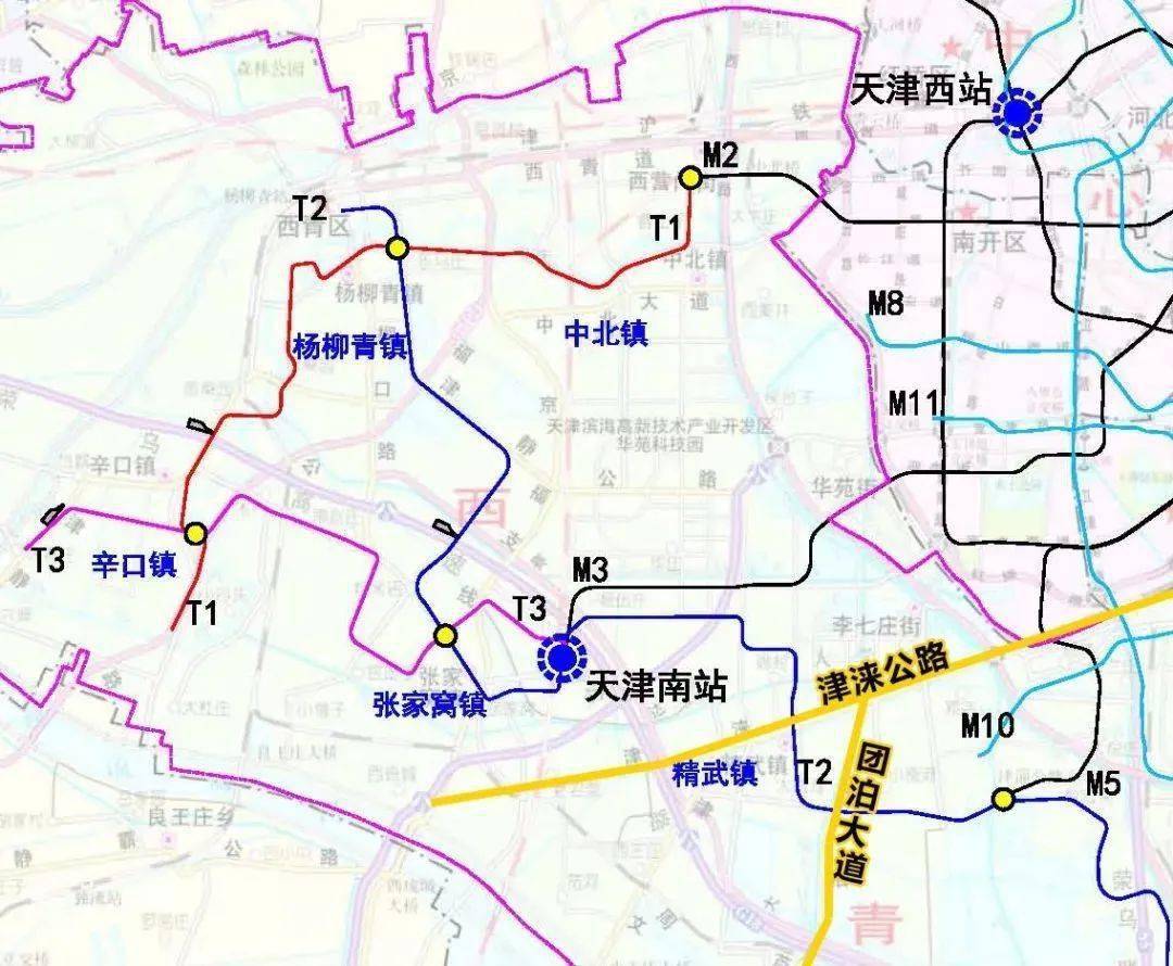 兴化张郭gdp2019_兴化油菜花(2)