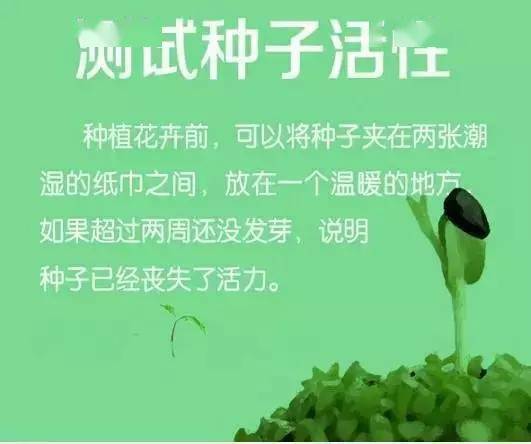 纸巾|你绝对想不到纸巾还能这么用