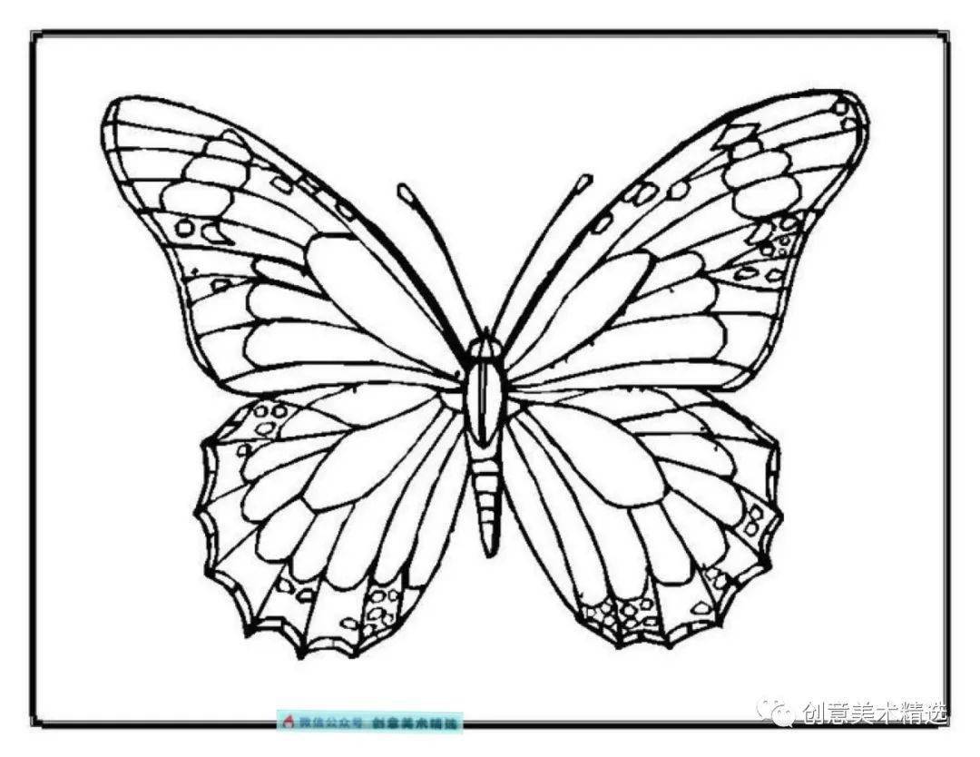 荧光的蝴蝶 向量例证. 插画 包括有 影子, 抽象, 安静, 飞蛾, 紫色, 向量, 沉寂, 春天, 蝴蝶 - 10008962