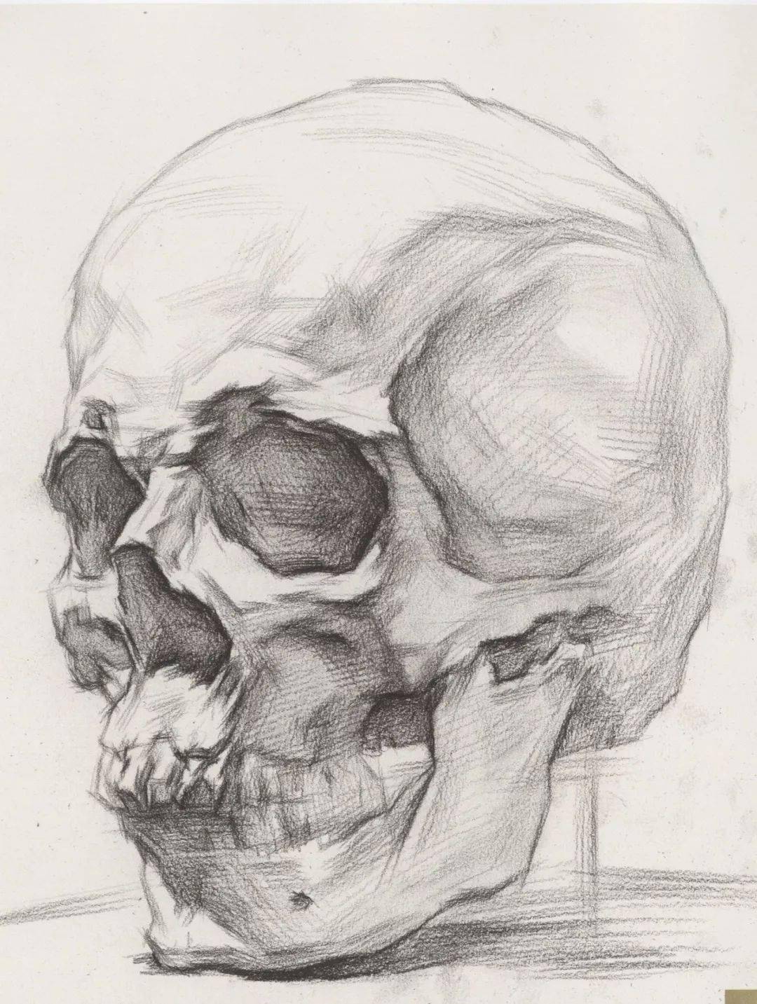 超强干货丨从结构学习素描头骨的刻画细节