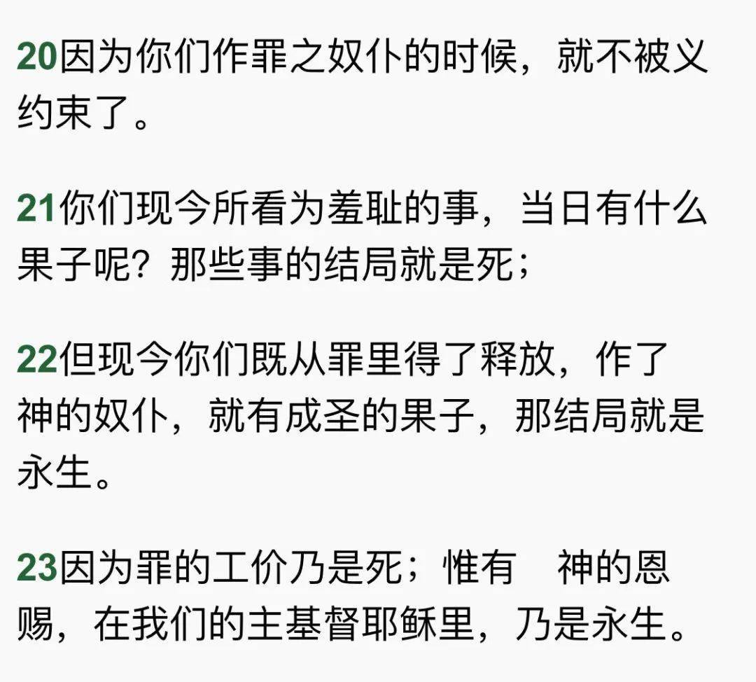 罗马书简谱_儿歌简谱(2)