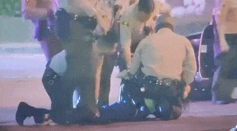 特朗普怒了：畜生！